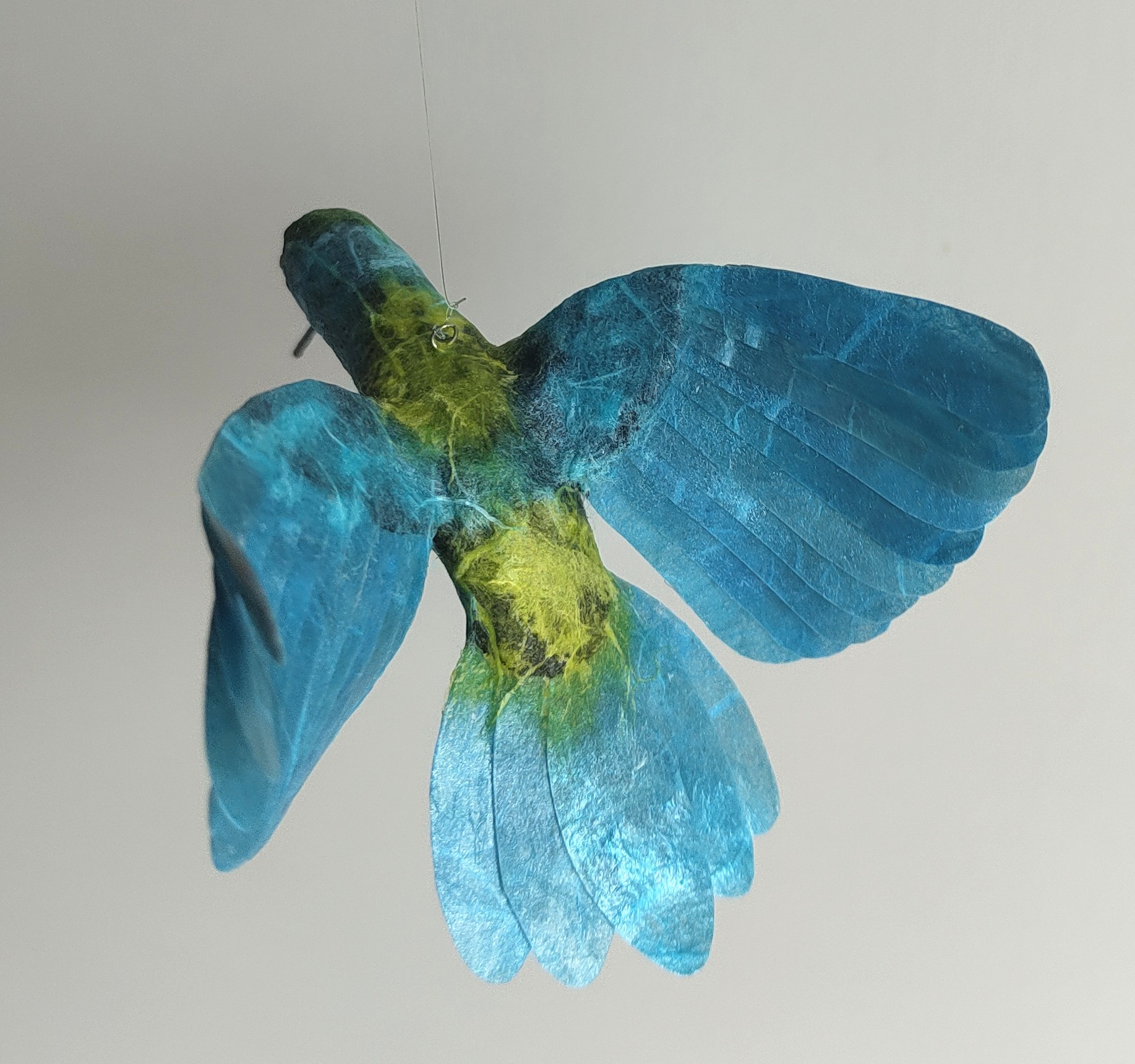 Kolibri blå/grön