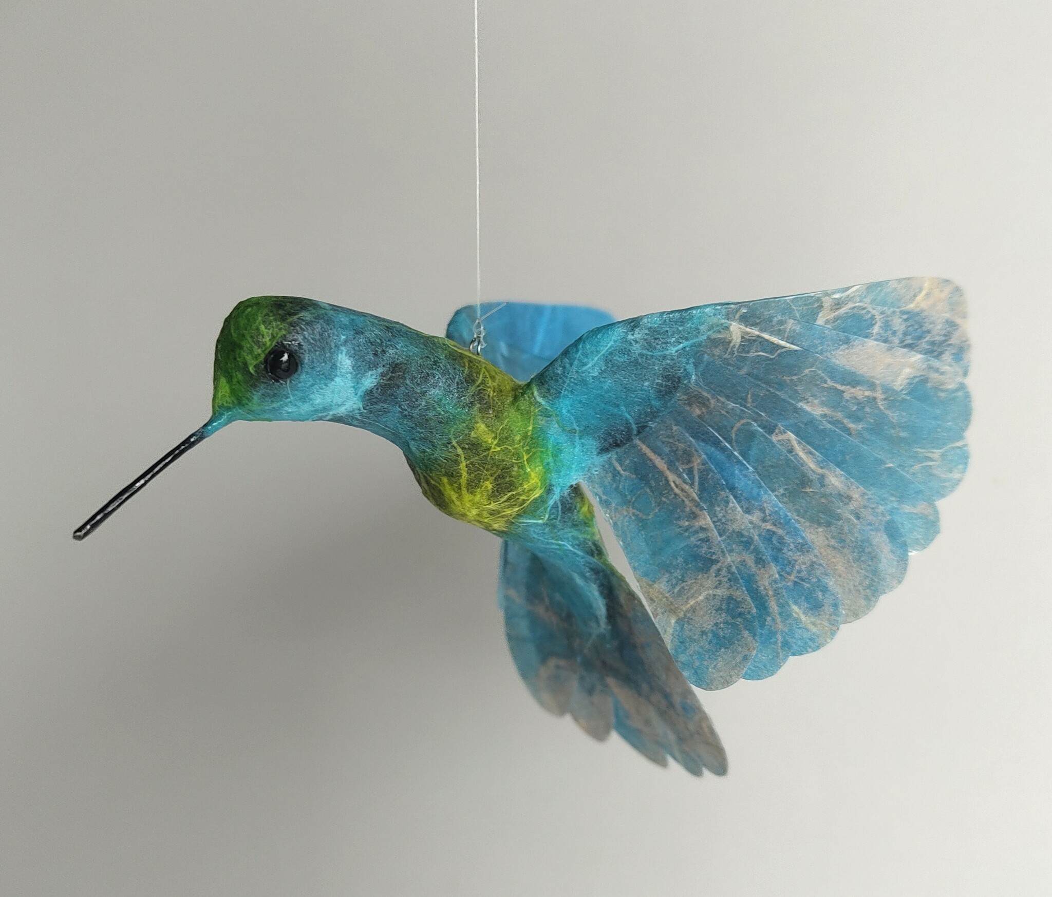 Kolibri blå/grön