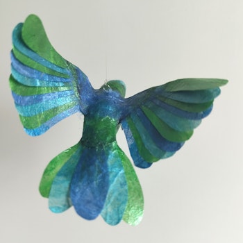 Kolibri grön/blå