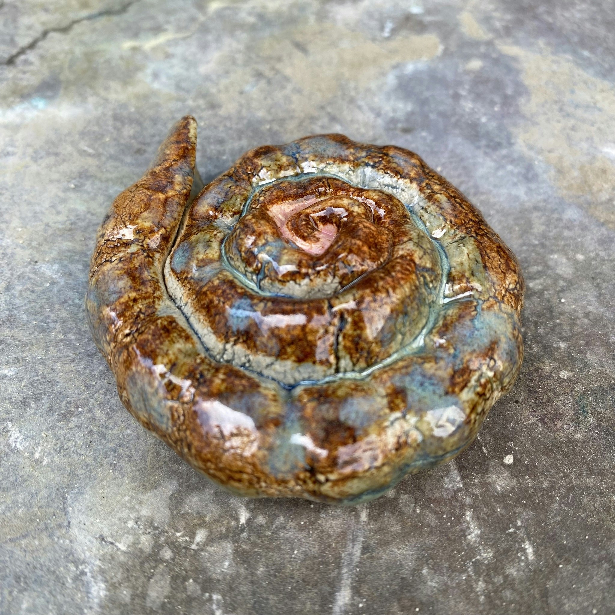 Väggsmycke fossil