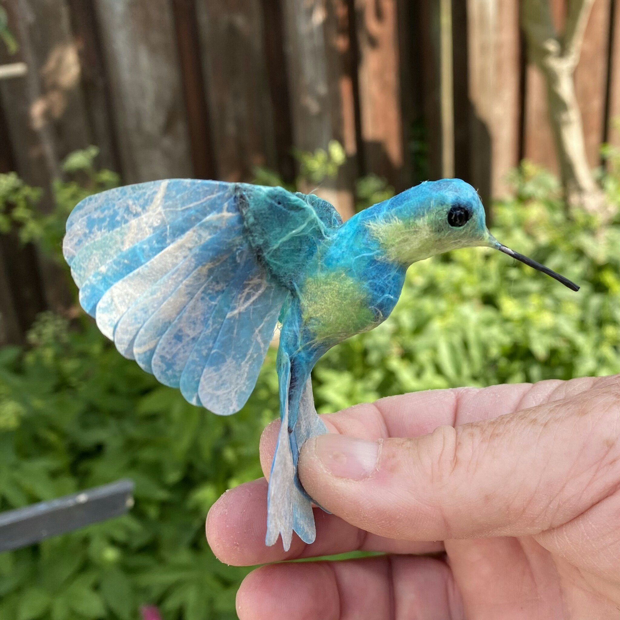 Kolibri blå/grön