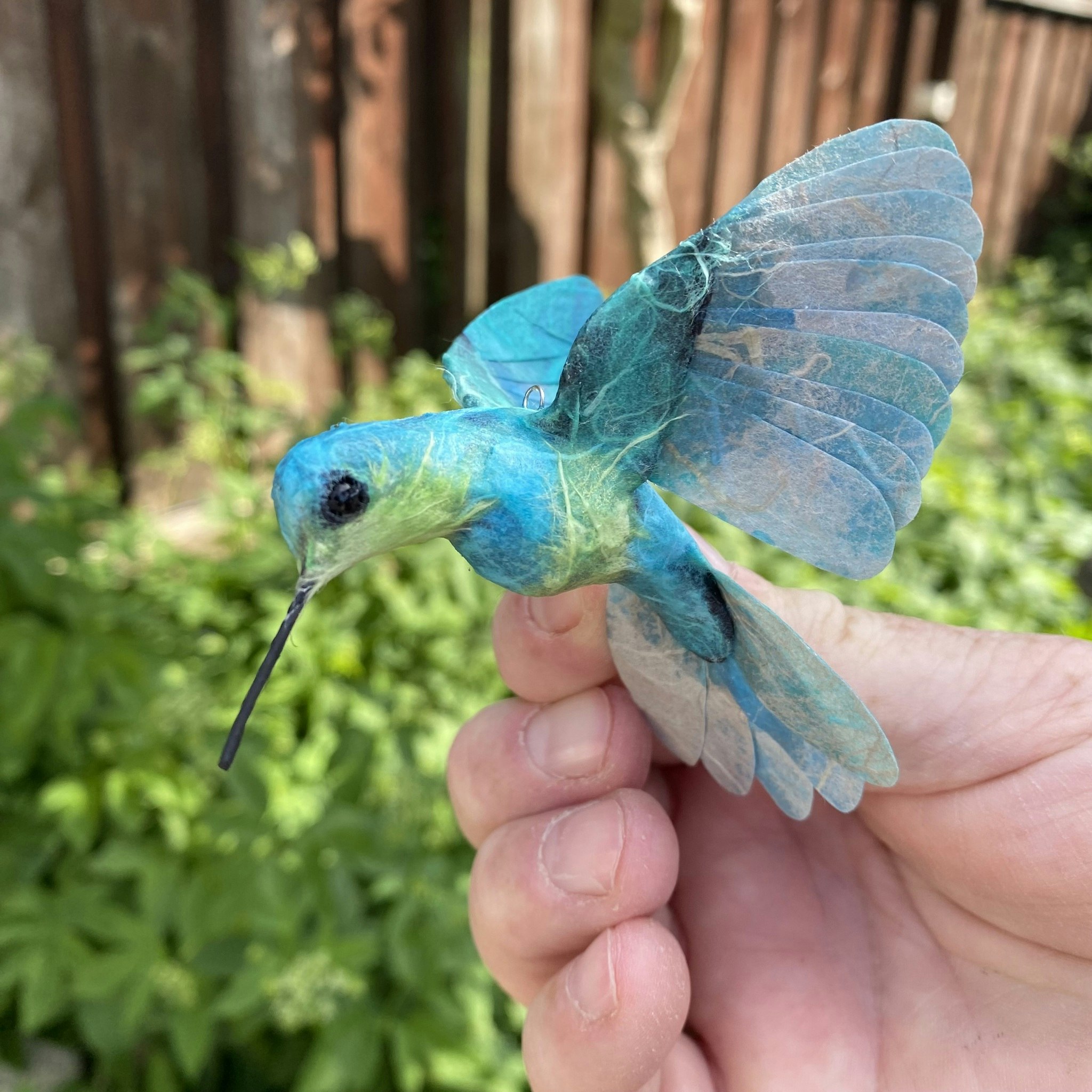 Kolibri blå/grön