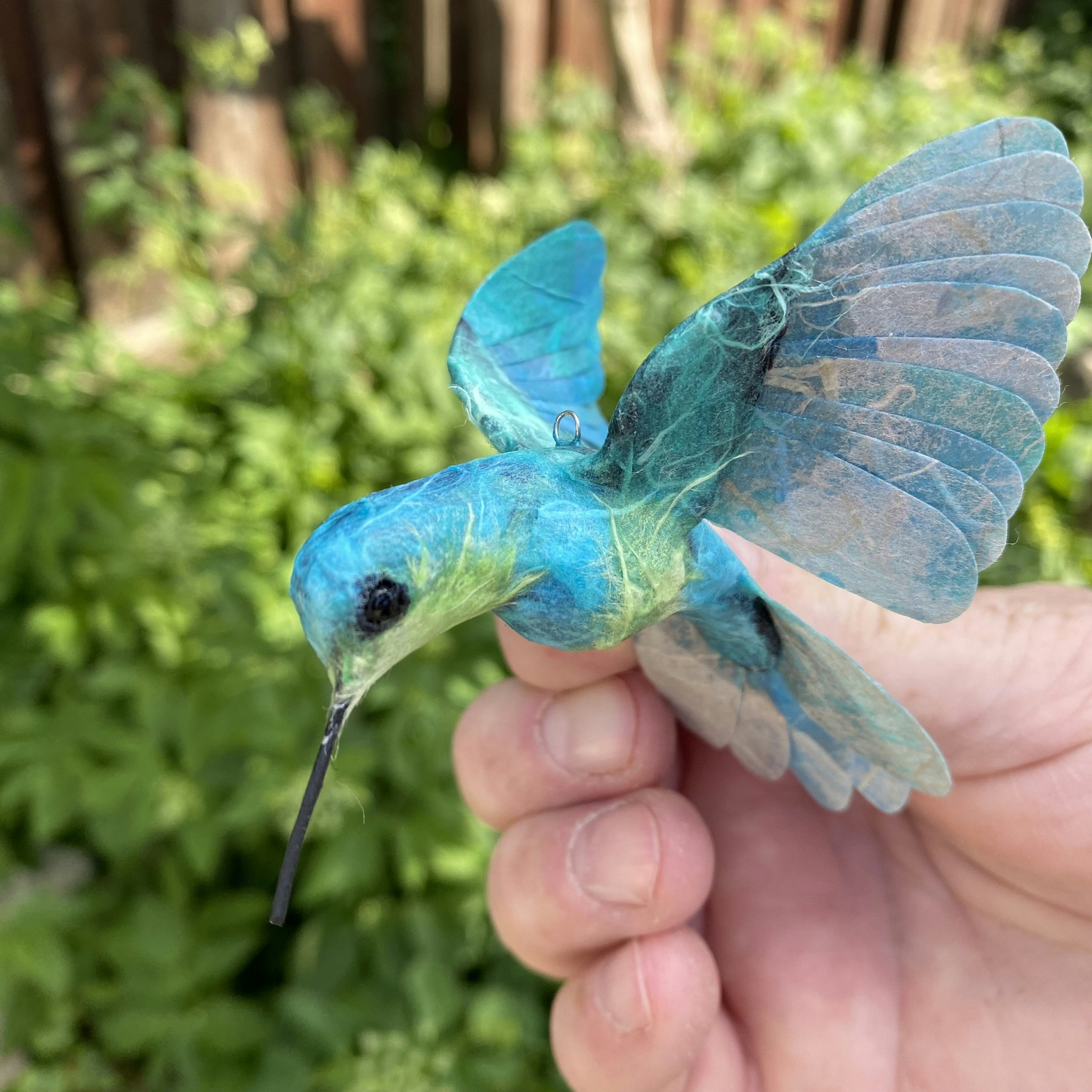 Kolibri blå/grön