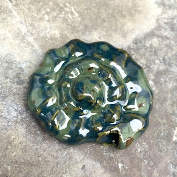 Väggsmycke fossil