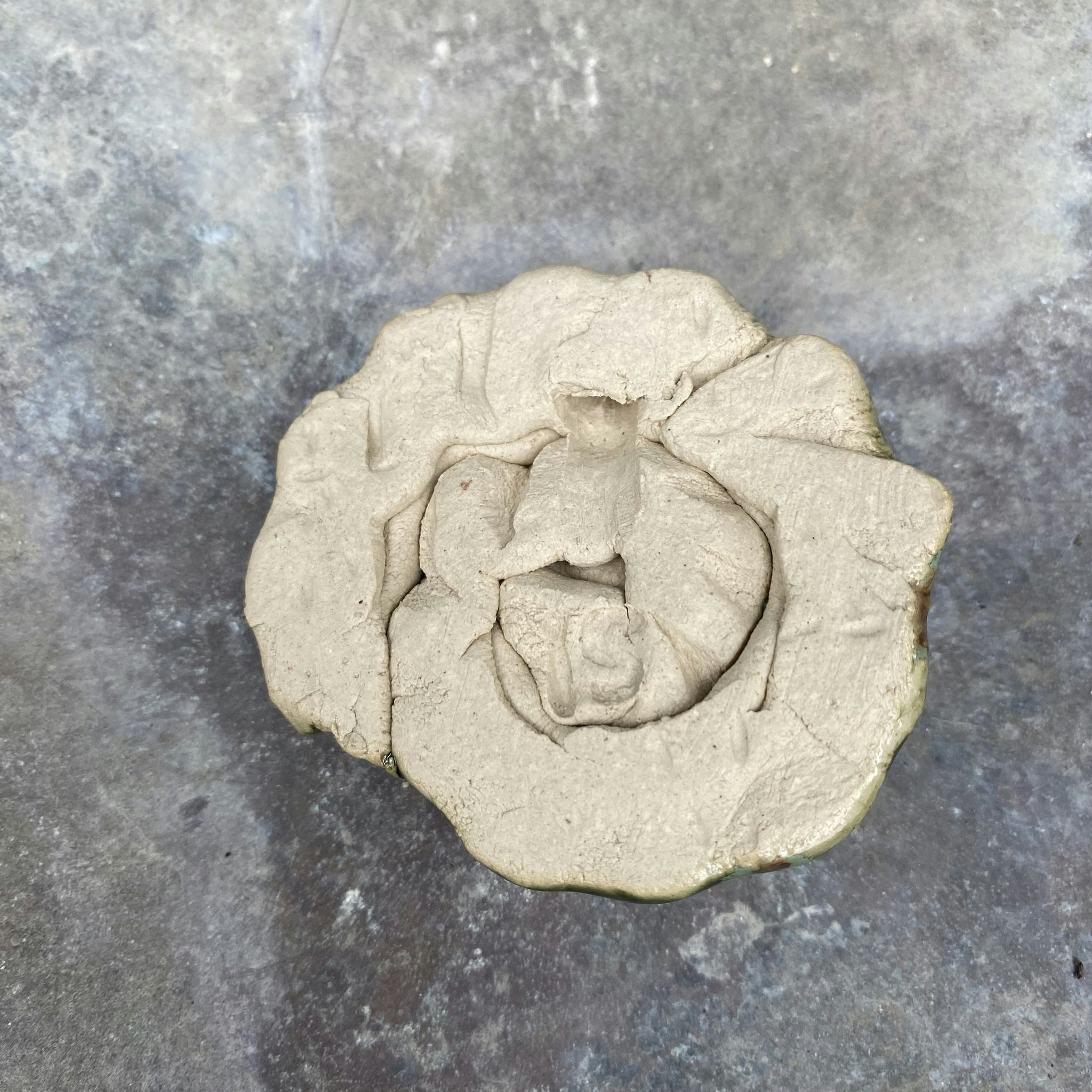 Väggsmycke fossil