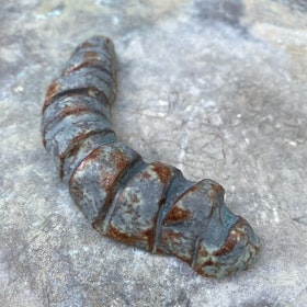 Väggsmycke fossil
