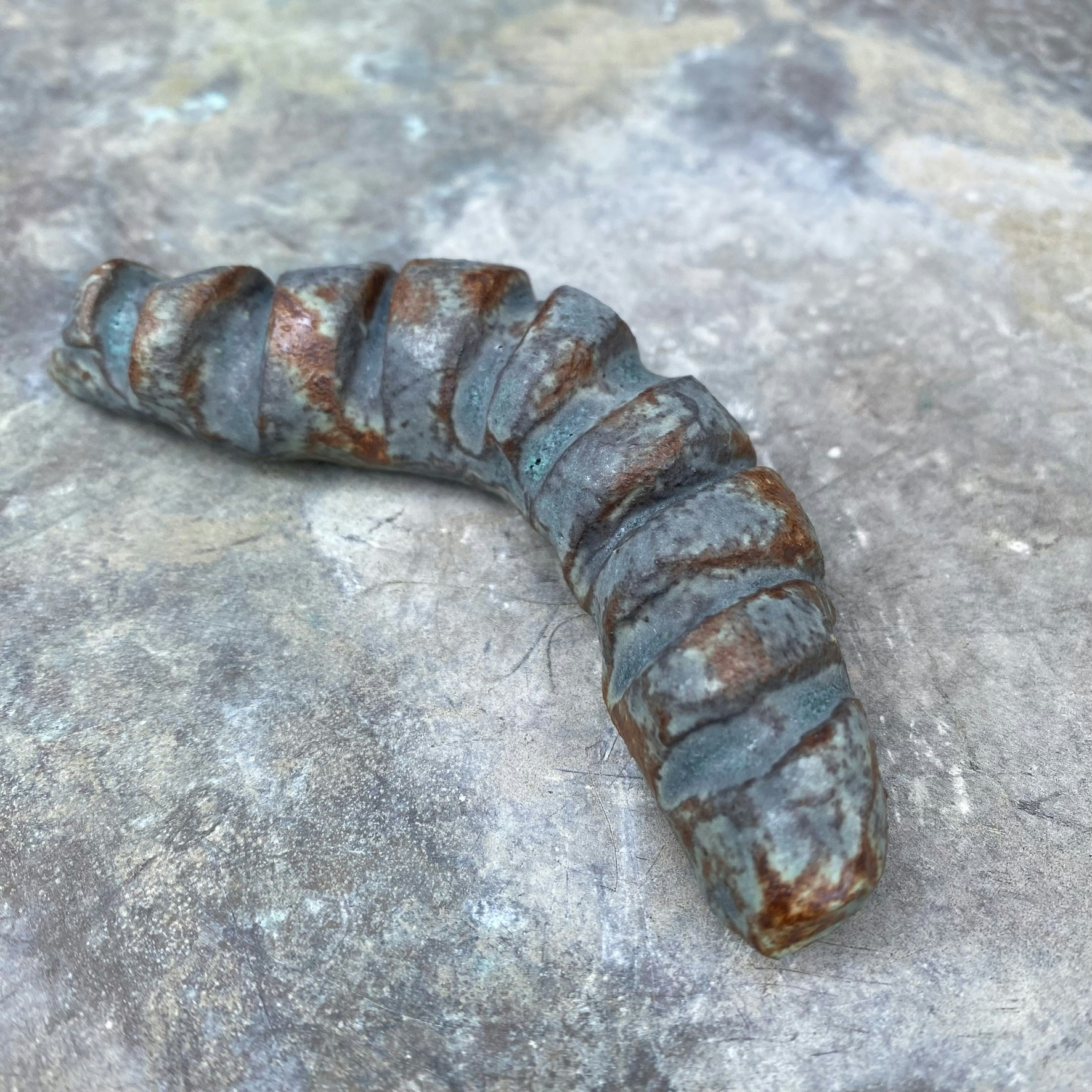 Väggsmycke fossil