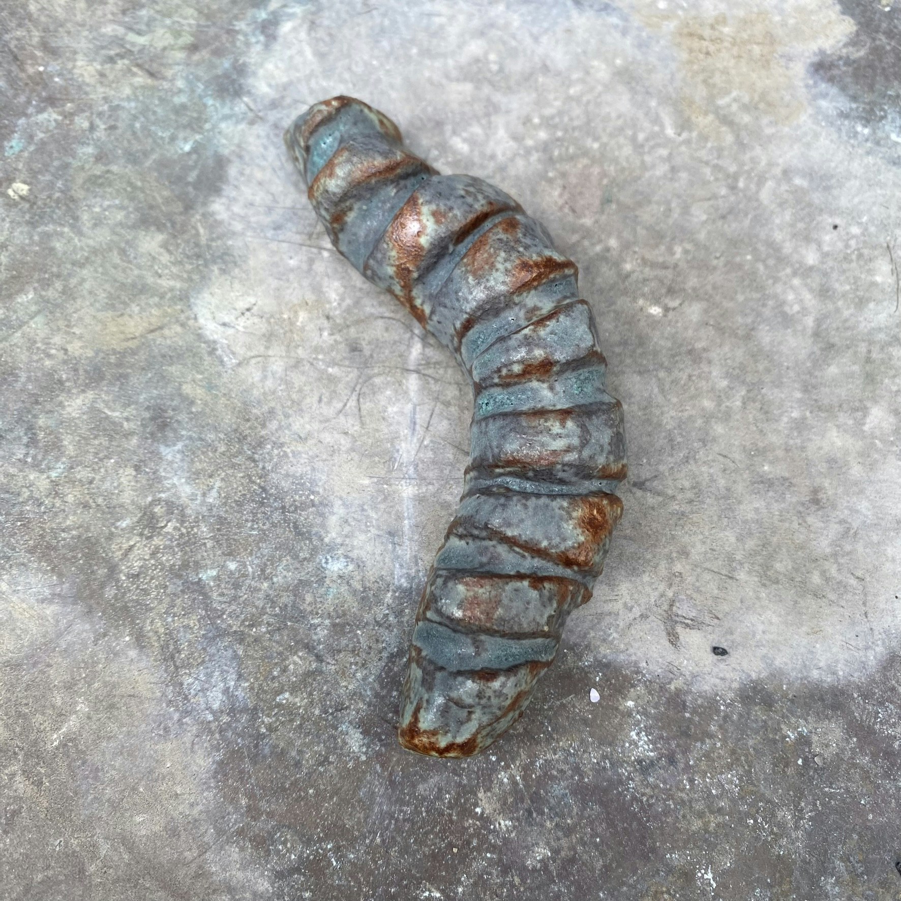 Väggsmycke fossil