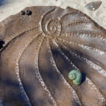 Fat fossil
