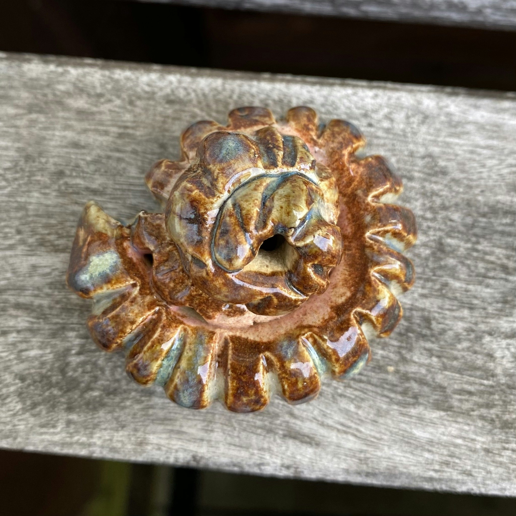 Väggsmycke fossil