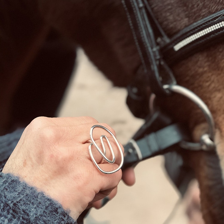 Ring Maze no22