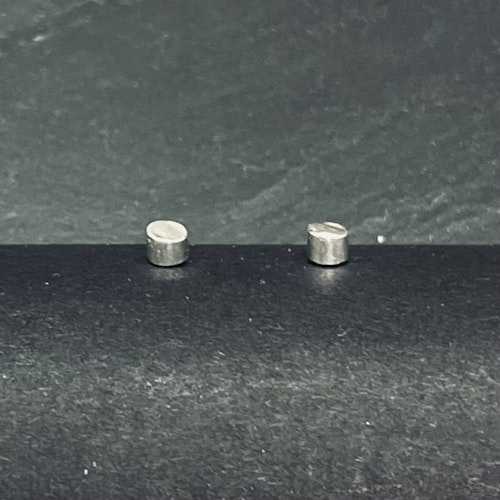 Örhänge Plug small