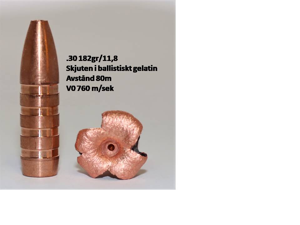 CopperBear 7,62mm (.30) 184gr EXHBT