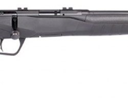 SAVAGE B22 MAGNUM F 22 WMR 21"