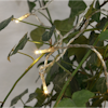 LJUSSLINGA D-LED INDOOR 20L