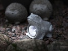 SOLCELLSDEKORATION ROCKY, Groda