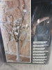 Dekorationsbelysning Rossy Vit, H 65 cm.