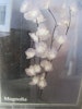 Dekorationsbelysning Magnolia, H 100 cm.