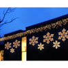 Snöflinga Star Trading Connectstar Transparent 216 Lampor