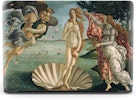 Skal till Macbook Air 13, The Birth of Venus