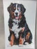 Barney Mountain Bildekal 16,5 x 10,5 cm