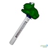 Planet Pool Thermometer Groda