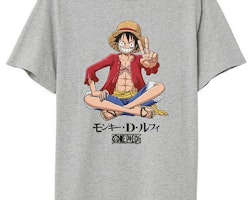 One Piece t-shirt - Luffy