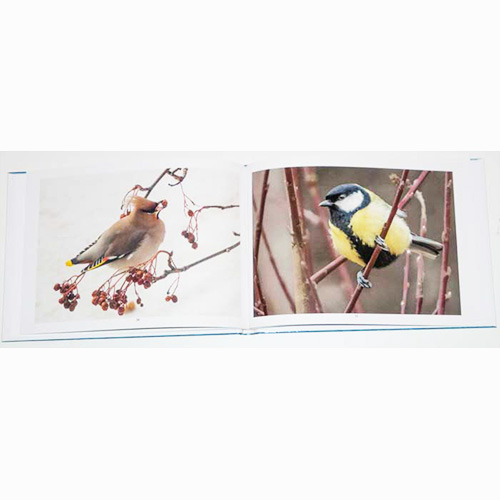 Fotobok Fåglar i Natur