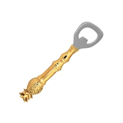 Bottle opener with pineapple on top