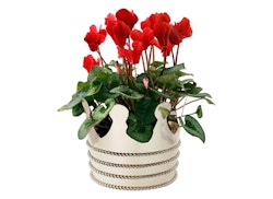 Pot in plated silver, Princess