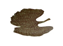 Teller, Blech handbemalt, 43,5 cm, hartlackiert, moosgrün