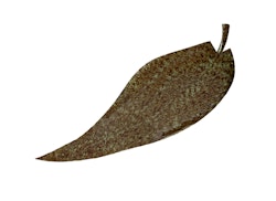 Fat, handmålad plåt, 67 cm, hårdlackat, mossgrönt