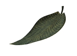 Fat, handmålad plåt, 67 cm, hårdlackat, mörkgrönt