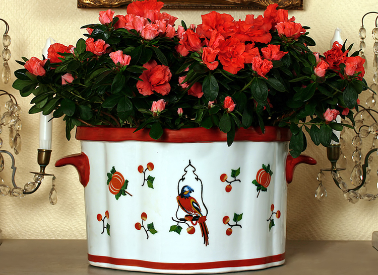 Outer pot in porcelain, parrot on swing