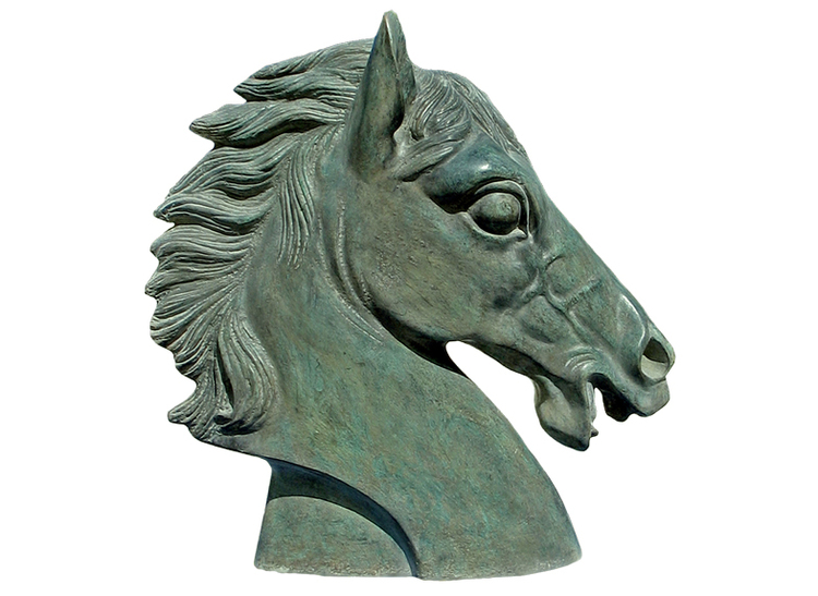 Horse head in bronze 30 cm