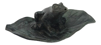 Small fountain frog sitting on a water lily leaf from Mr Fredrik