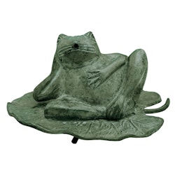 Fountain, frog, green, resting hand lying on leaf