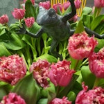 Grenouille fontaine en bronze, 40 cm "Funny frog" de Mr Fredrik