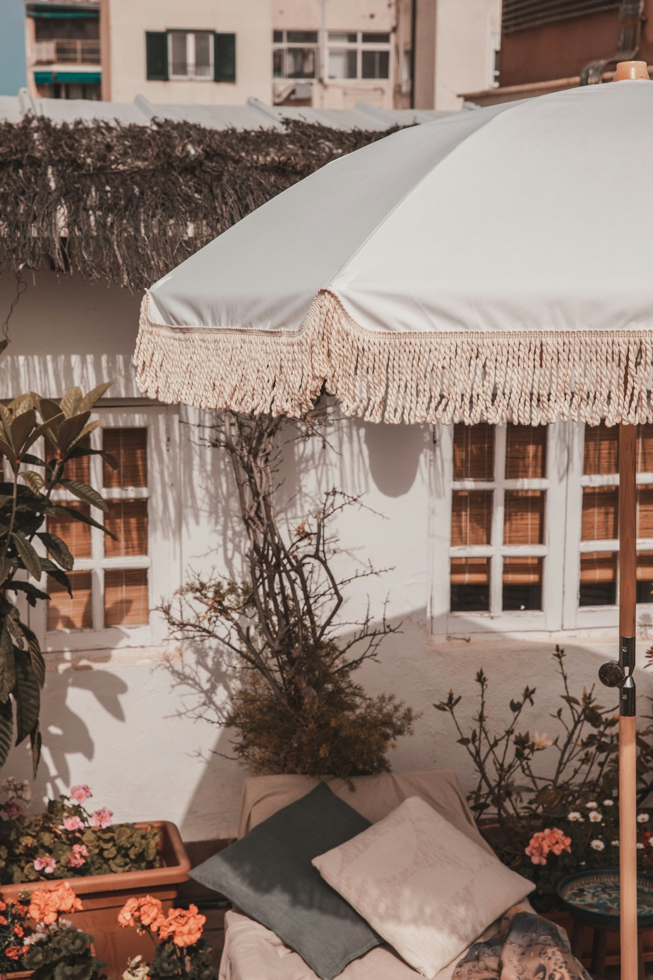 Amoreira True White by Monchiqe
