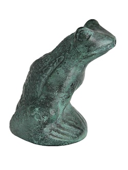 Aufrecht sitzender Brunnenfrosch mit schuppigem Rücken