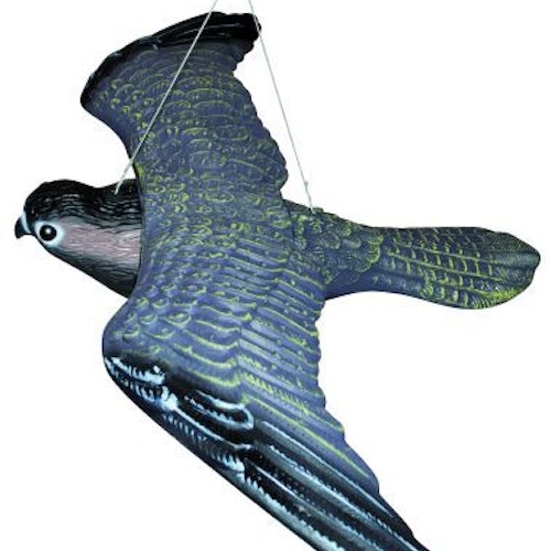 Fågelskrämma Flygande Rovfågel 54 cm