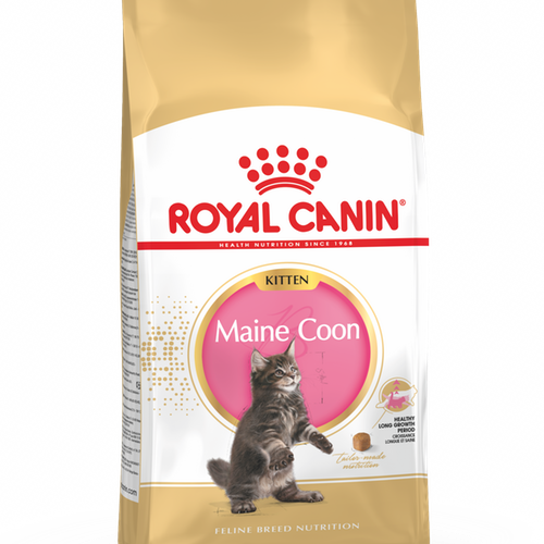 Royal Canin Maine Coon Kitten, flera storlekar