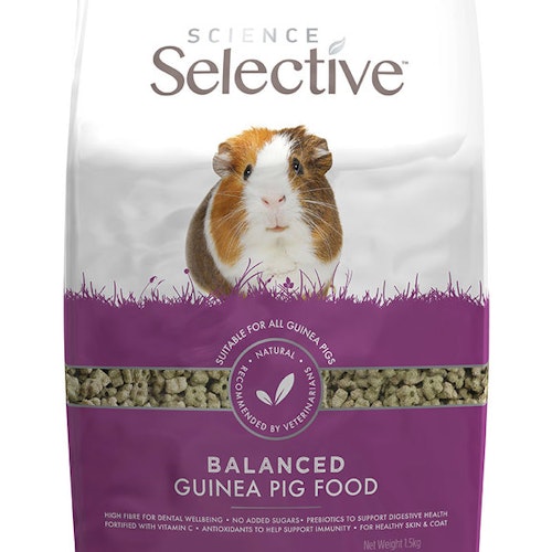 Selective Guinea Pig, olika storlekar