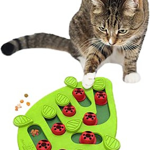 PETSTAGES CAT PUZZLE & PLAY BUGGIN OUT