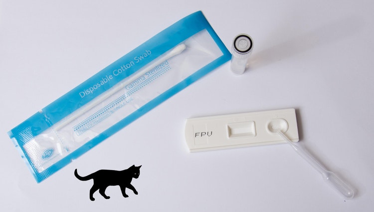 FPV Parvovirus Snabbtest Katt x 10 - Scentstop