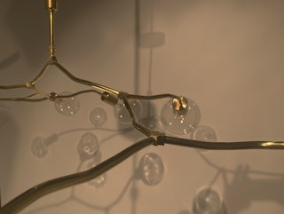 BRANCH