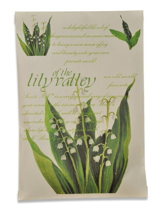 Lilly of the valley - Liljor