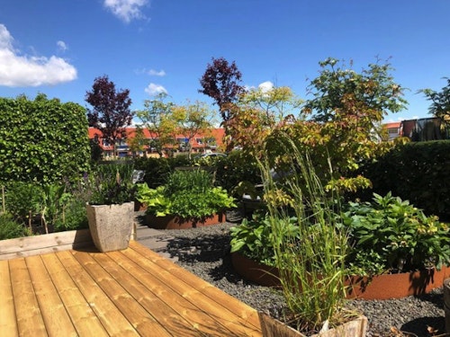 Trädringar av Corten 95 cm, svetsade