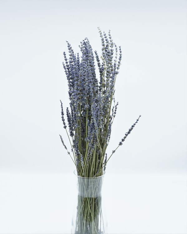Lavendel super - naturell  blå - 100 gram - Torkade blommor