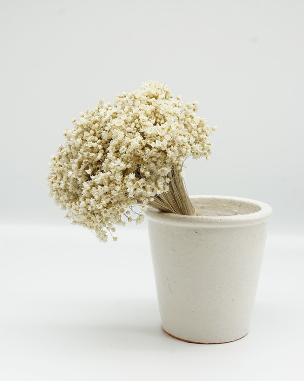 Marcelo - Naturell - 20 cm - Torkade blommor